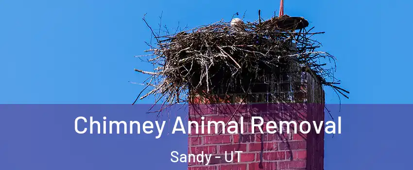  Chimney Animal Removal Sandy - UT