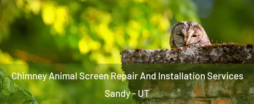  Chimney Animal Screen Repair And Installation Services Sandy - UT