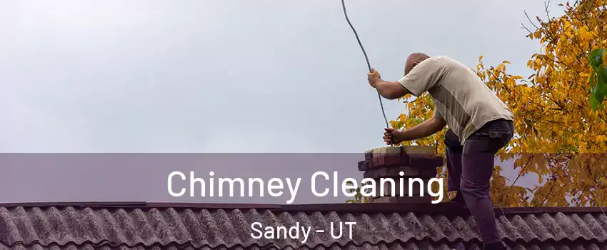  Chimney Cleaning Sandy - UT
