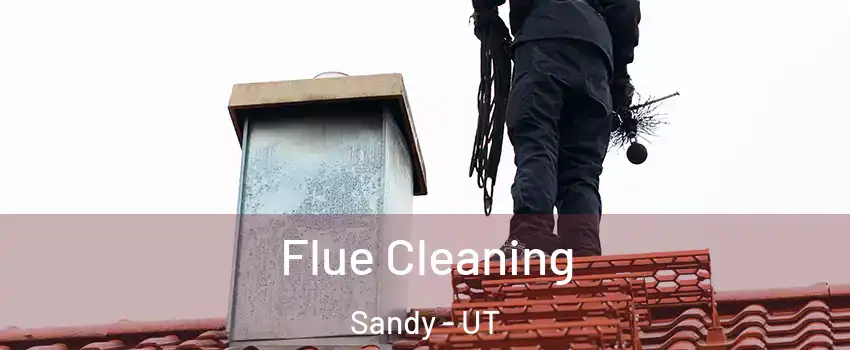  Flue Cleaning Sandy - UT