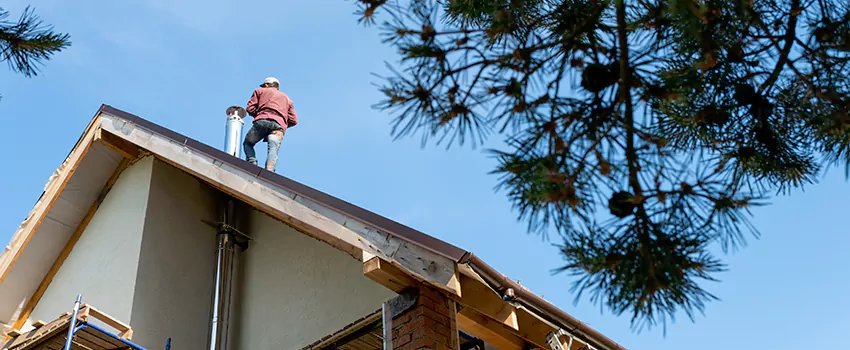 Birds Removal Contractors from Chimney in Sandy, UT
