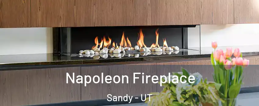  Napoleon Fireplace Sandy - UT